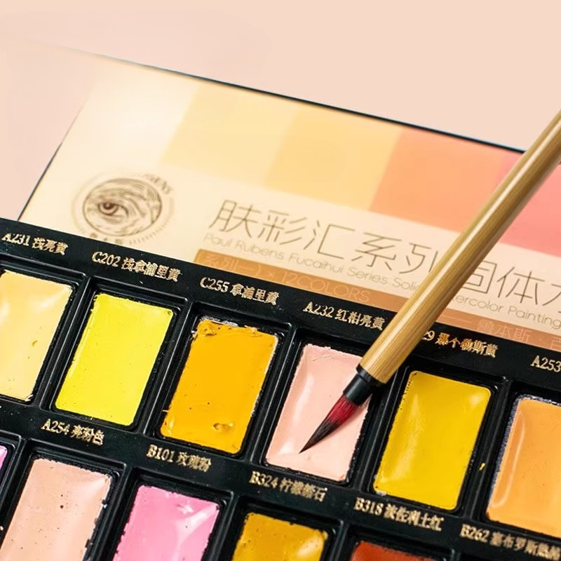 12color Skin Color Solid Water - Watercolor Paint Set Solid Pigment ulasan dan harga
